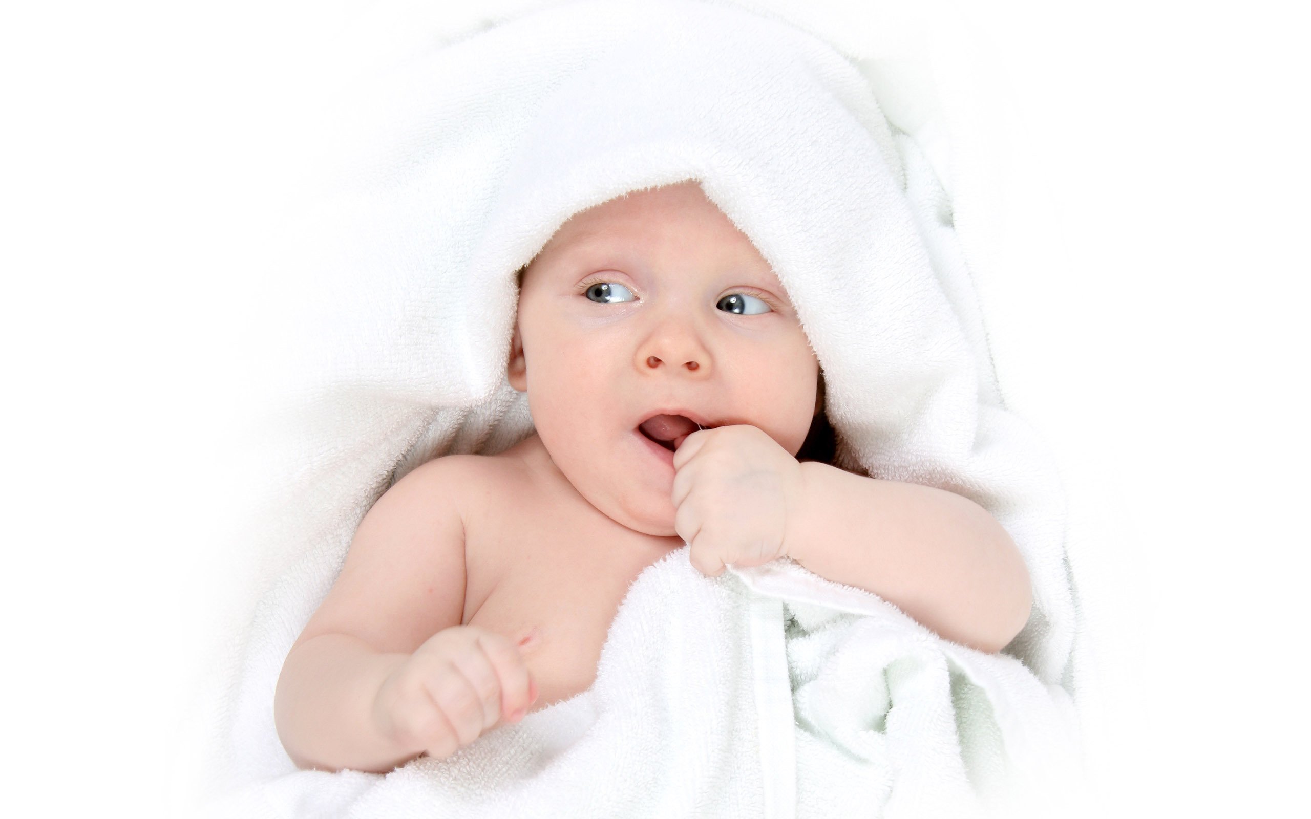 正规捐卵机构提高 试管婴儿 成功率